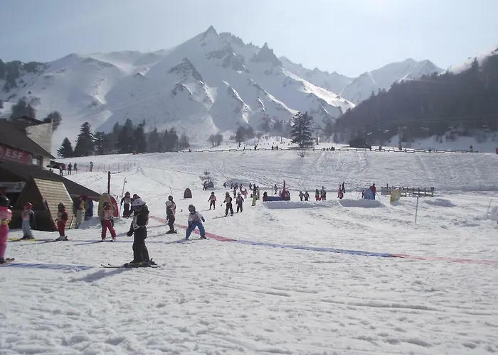 Apartamento Les Domes Mont-Dore